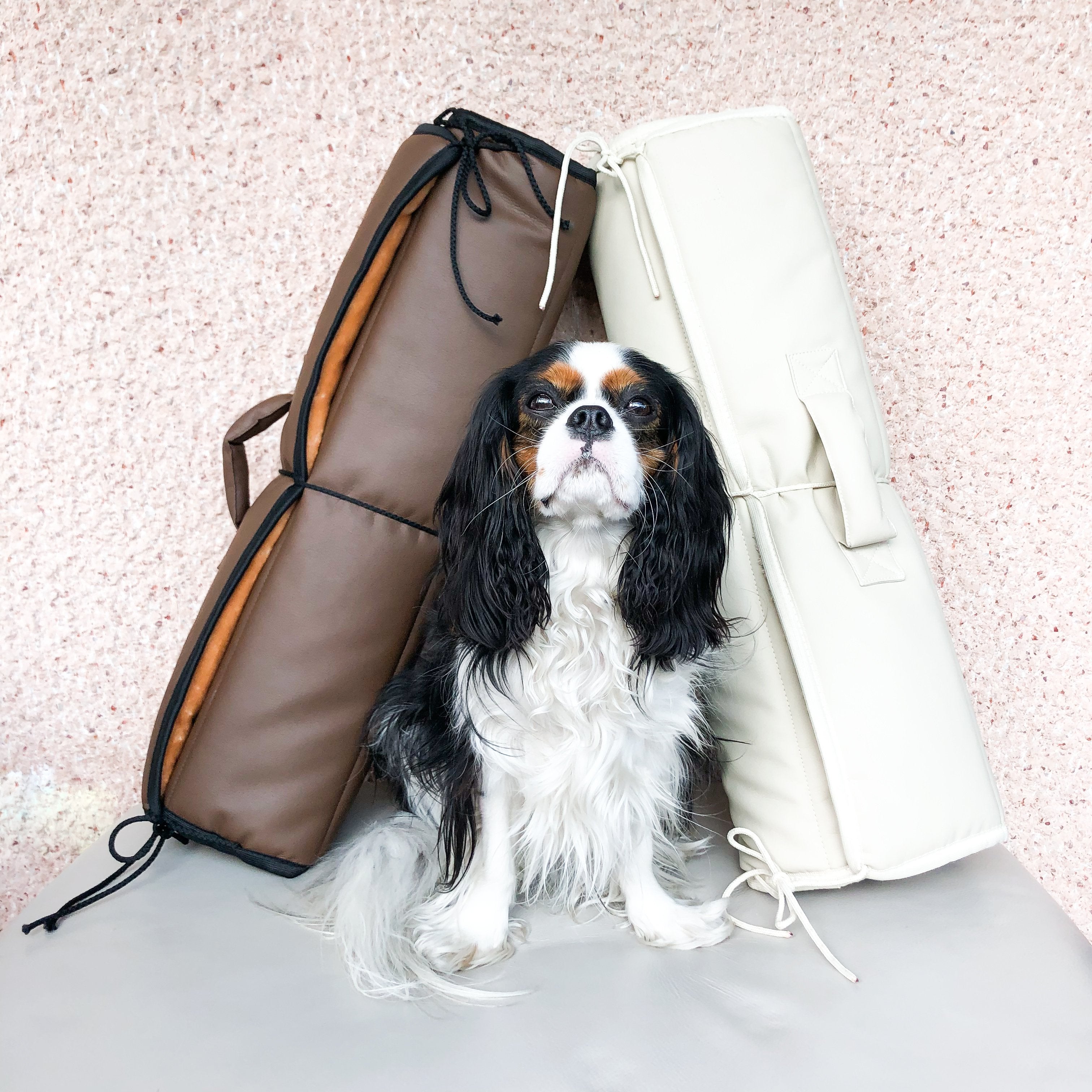 "Doga" Travel Mat / Dog Mat