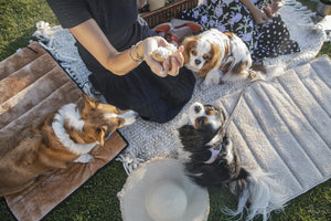 "Doga" Travel Mat / Dog Mat