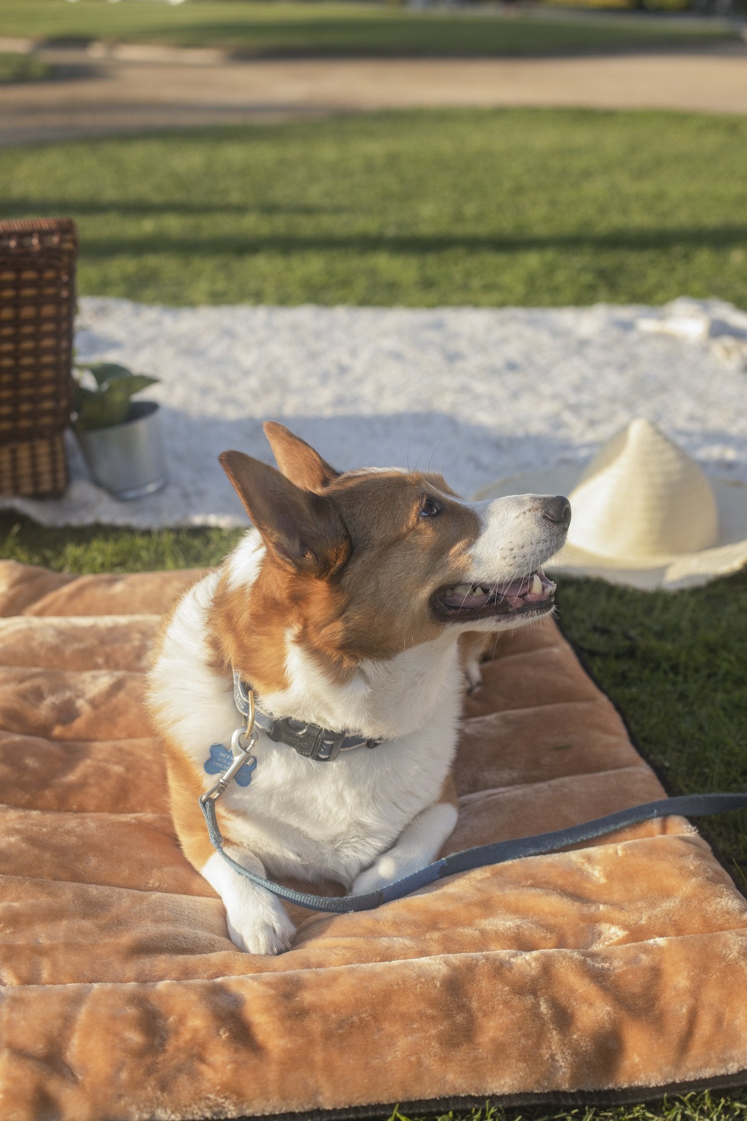 "Doga" Travel Mat / Dog Mat