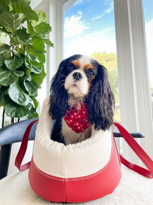 Ukraine Fundraiser: Smooth Red Vegan Leather Dog Carrier