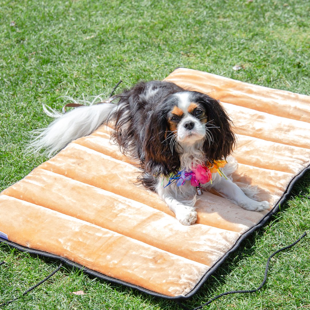 "Doga" Travel Mat / Dog Mat