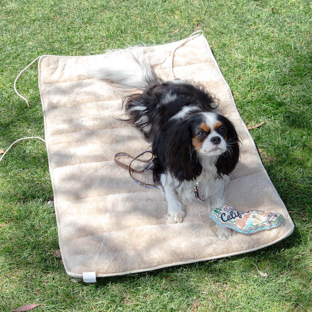 "Doga" Travel Mat / Dog Mat